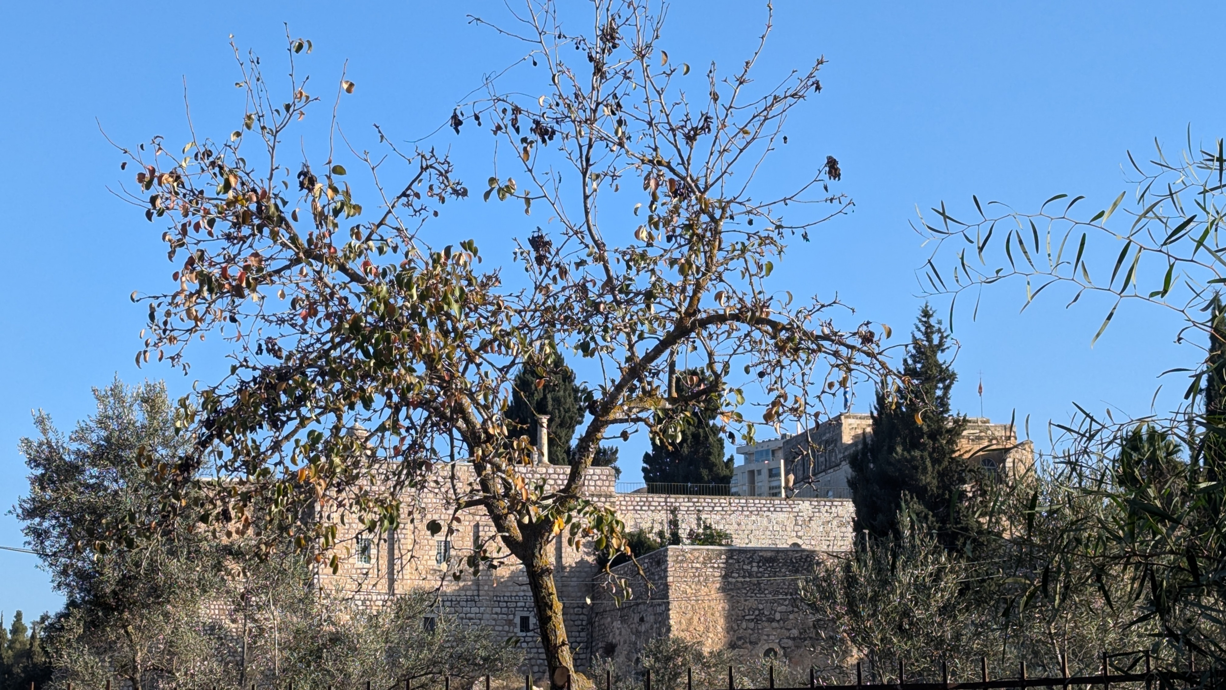 תמונת היום